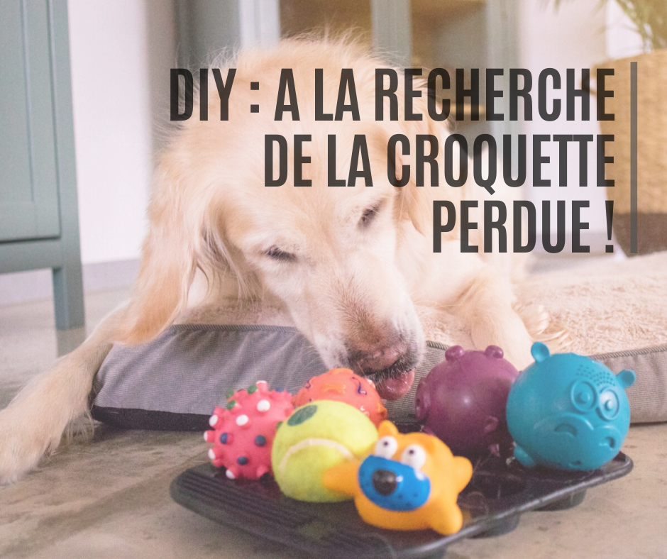 chien téléguidé jouet